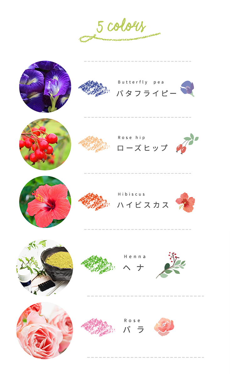 HOPPL TOWN / おはなのクレヨン standard 5色